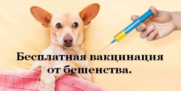 Управление ветеринарии г. Севастополя информирует!