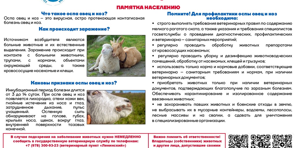Управление ветеринарии города Севастополя  информирует!