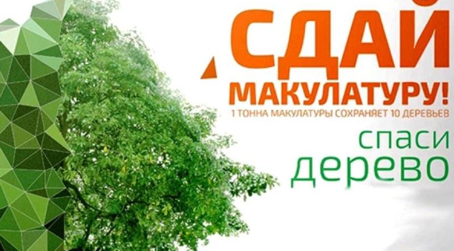 «Сдай макулатуру — спаси дерево»