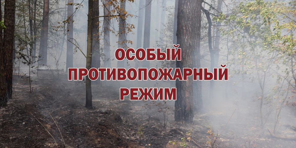 Что нужно знать об особом противопожарном режиме на территории города Севастополя