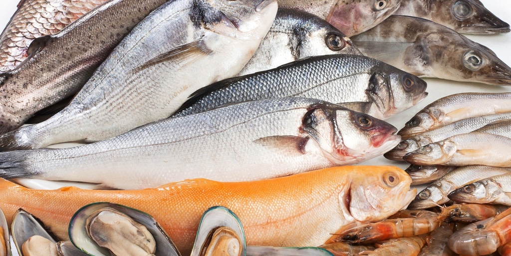 Открыт прием документов на предоставление субсидий для индивидуальных предпринимателей и организаций, осуществляющих деятельность в сфере аквакультуры (товарного рыбоводства)