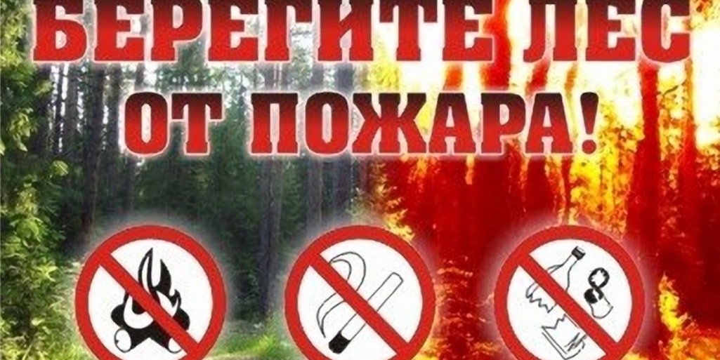 Берегите свой дом и природу Севастополя от огня!