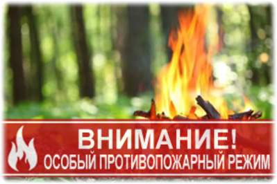 На территории города Севастополя установлен особый противопожарный режим