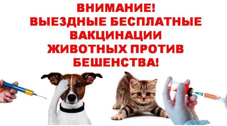 Управление ветеринарии города Севастополя информирует!