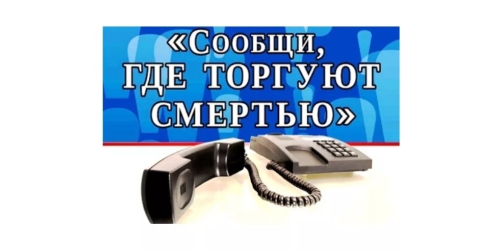 В Севастополе началась акция «Сообщи, где торгуют смертью!»
