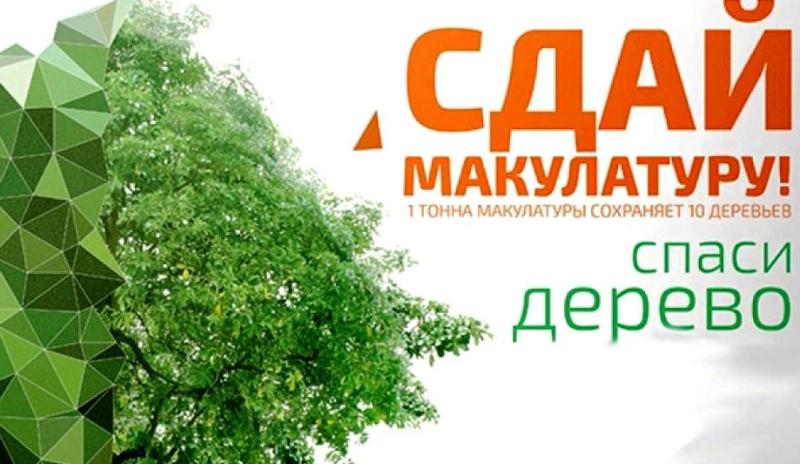 «Сдай макулатуру — спаси дерево»