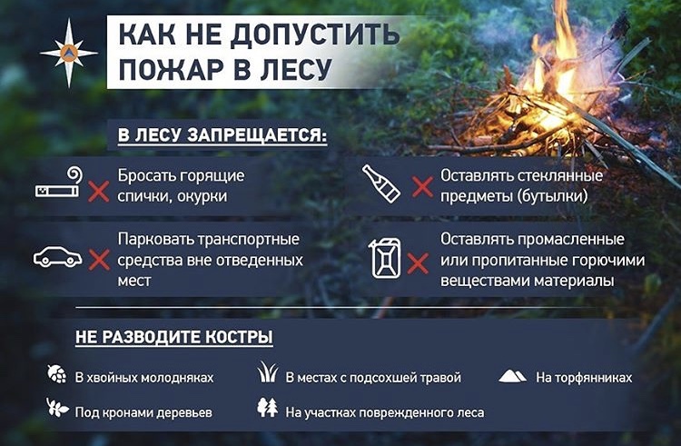 Памятка: пожары в лесу