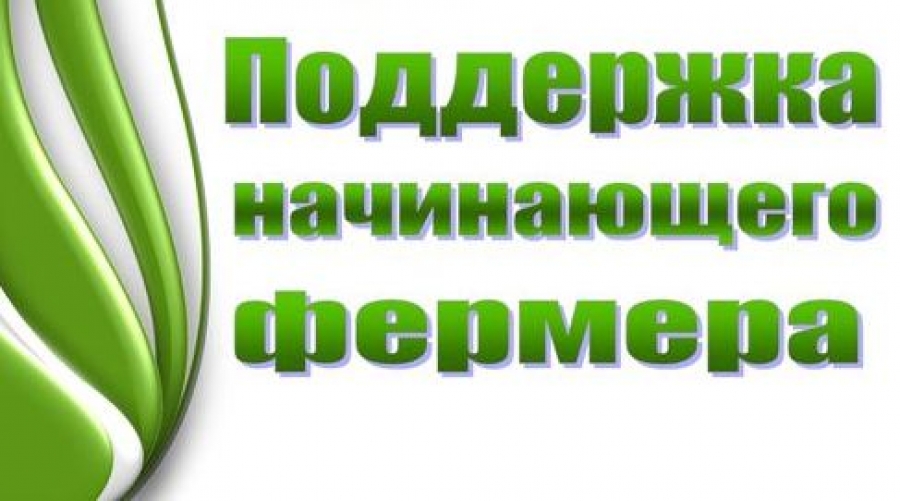 В Севастополе пройдет бесплатное обучение по программе 