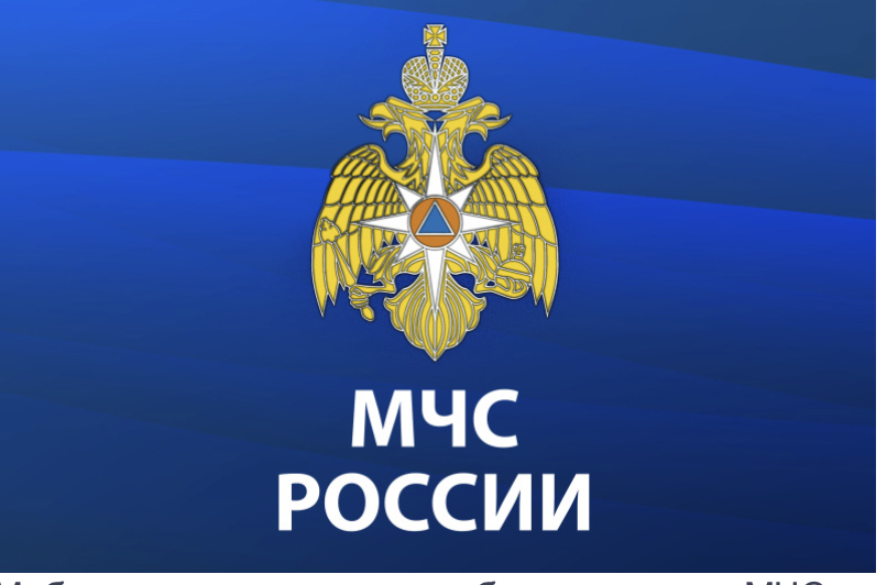 МЧС России разработано мобильное приложение – личный помощник при ЧС 