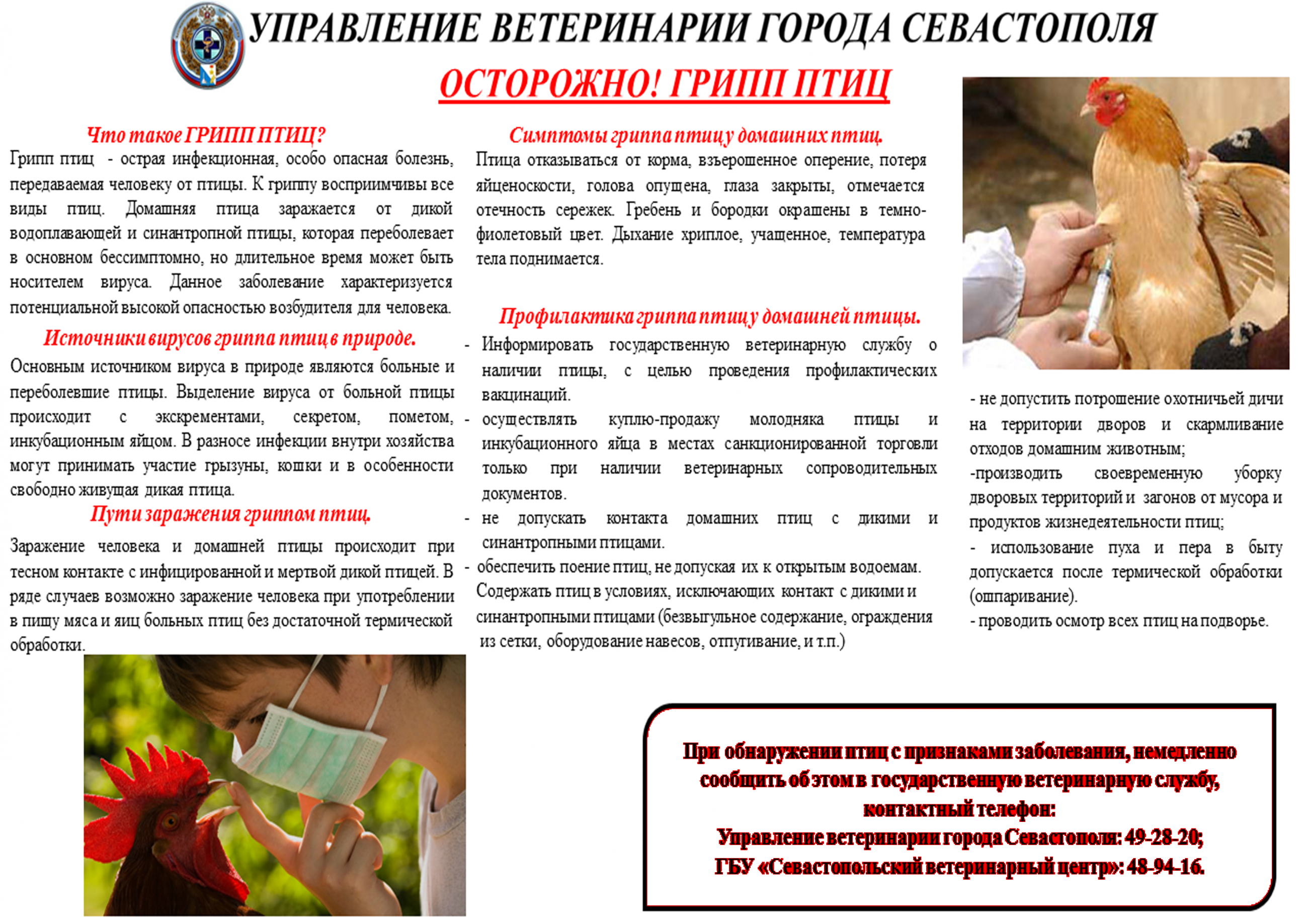 Управление ветеринарии города Севастополя информирует