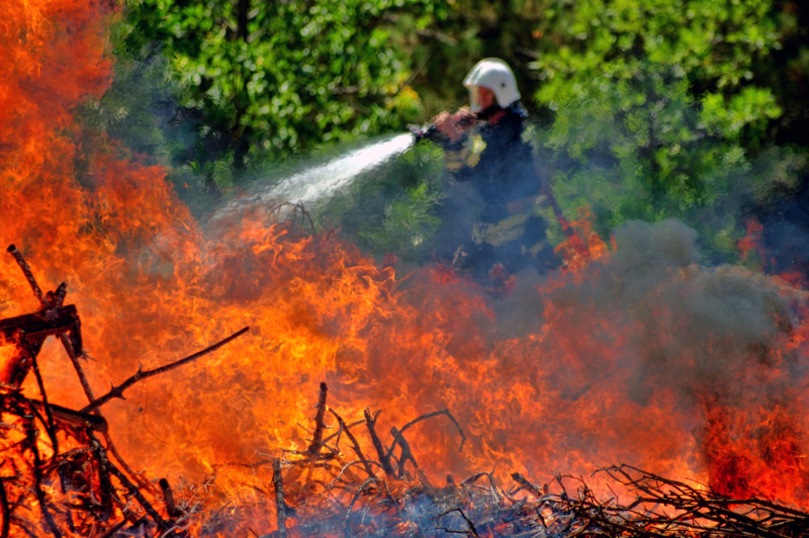 С 1 мая в Севастополе введен особый противопожарный режим