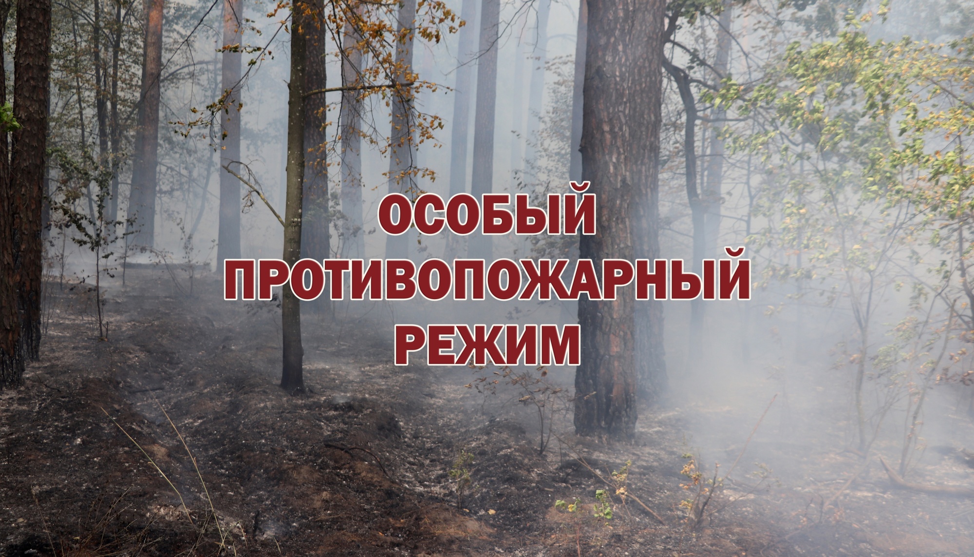 Что нужно знать об особом противопожарном режиме на территории города Севастополя