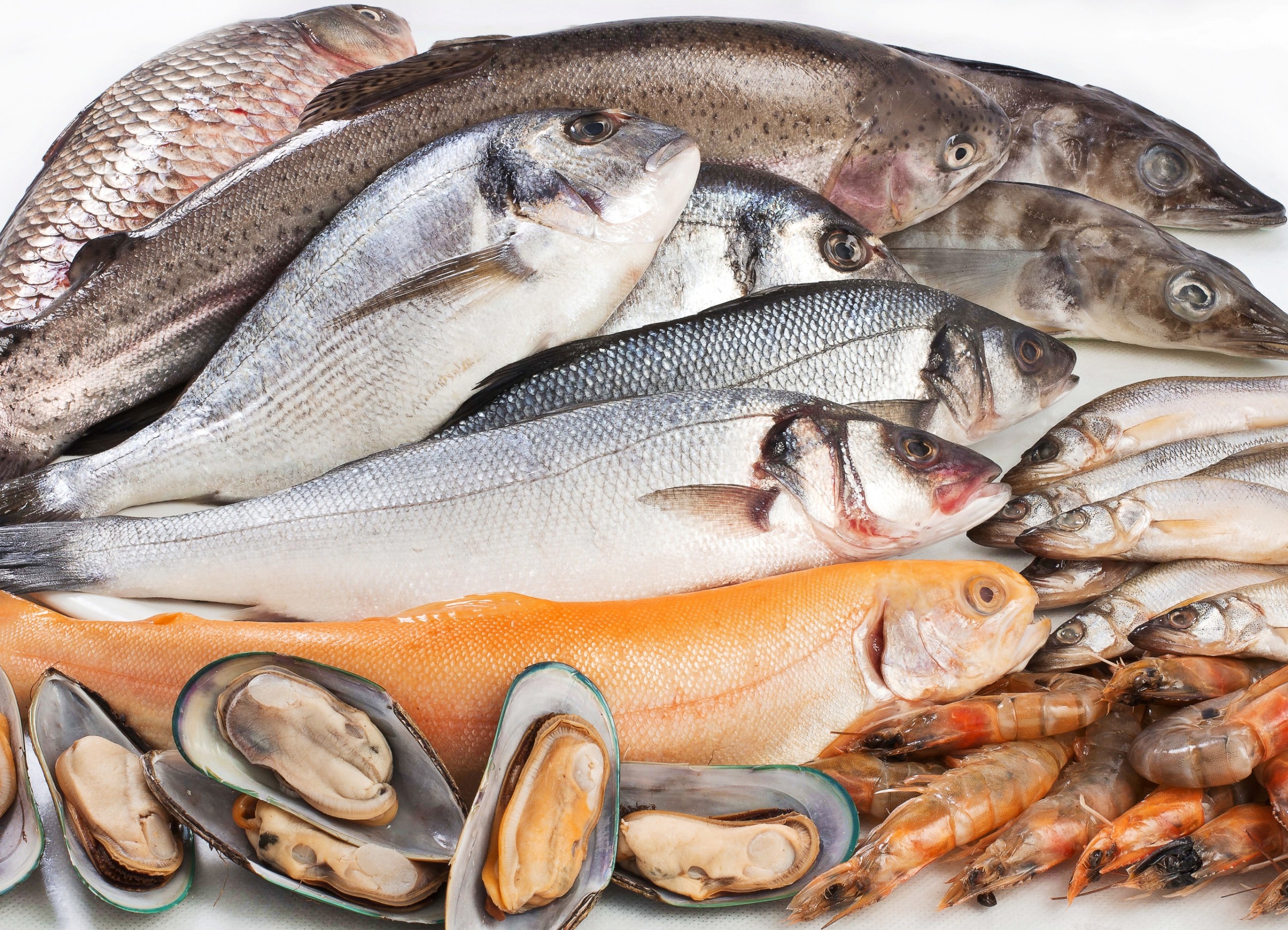 Открыт прием документов на предоставление субсидий для индивидуальных предпринимателей и организаций, осуществляющих деятельность в сфере аквакультуры (товарного рыбоводства)