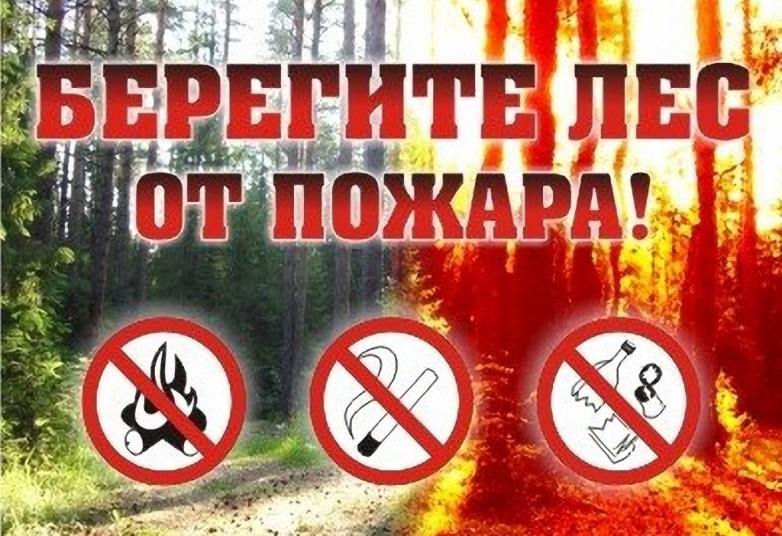 Памятка о правилах пожарной безопасности в лесах  и об ответственности за разведение костров на природе 